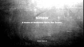 What does sinew mean Net Worth
