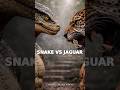 Snake vs Jaguar | WHO WINS? (AI Cinematic Fight)