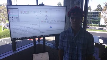 OpenBCI + NeuroPype (1st Integration)