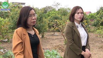 Đoàn giám sát của Thường trực HĐND huyện giám sát công tác quản lý, bảo vệ môi trường