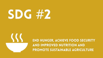 SDG 2: Why Ending Hunger by 2030 Changes Everything