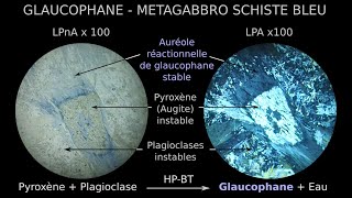 Glaucophane, amphibole sodique HP BT dans métagabbro du faciès des schistes bleus LPnA vs LPA x100
