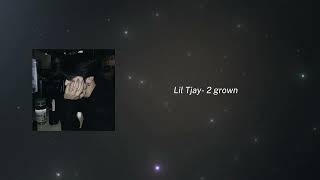 𝑳𝒊𝒍 𝑻𝒋𝒂𝒚- 2 𝒈𝒓𝒐𝒘𝒏 (𝒔𝒍𝒐𝒘𝒆𝒅)