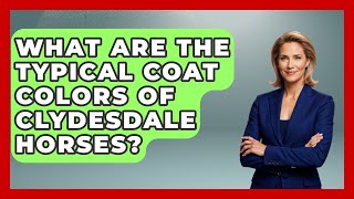 What Are The Typical Coat Colors Of Clydesdale Horses? - The Horses Stable