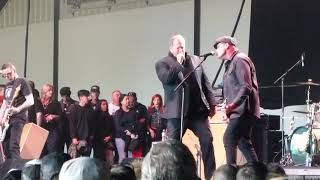TSOL - LIVE - MUSINK 2019