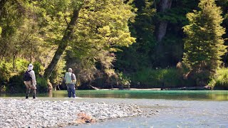 New Zealand Fly Fishing | Southland Brown Trout | GVFFC