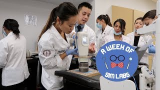 Details A Week in the WesternU Sim Lab News