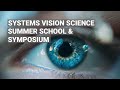 Interested in visionscience join our summer school