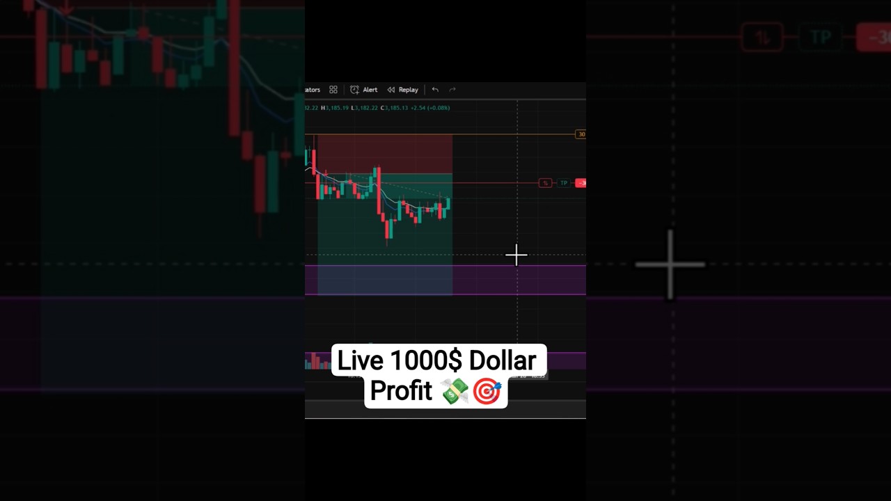Live 1000 Dollar Profit 💸 