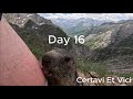 HRP Day 16 - MARMOT LICKING HUMAN LEG | Amazing Best Wild Marmot Footage of ALL TIME