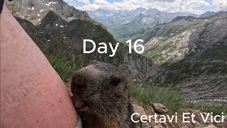 HRP Day 16 - MARMOT LICKING HUMAN LEG | Amazing Best Wild Marmot Footage of ALL TIME