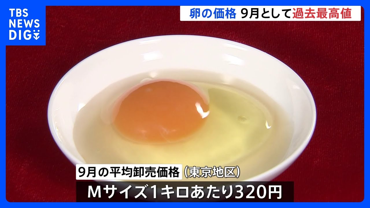 卵の平均価格 9月として過去最高値 Mサイズ1キロあたり320円 鳥