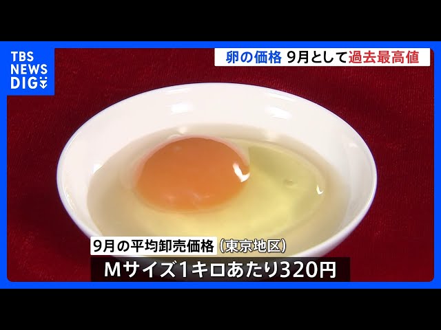 卵の平均価格 9月として過去最高値 Mサイズ1キロあたり320円 鳥