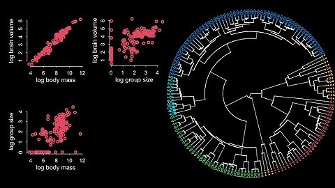 Statistical Rethinking 2022 Lecture 16 - Gaussian Processes