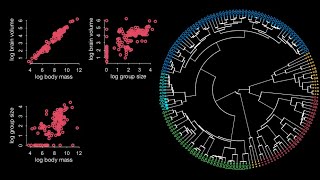 Statistical Rethinking 2022 Lecture 16 - Gaussian Processes by Richard McElreath 11,240 views 2 years ago 1 hour, 25 minutes