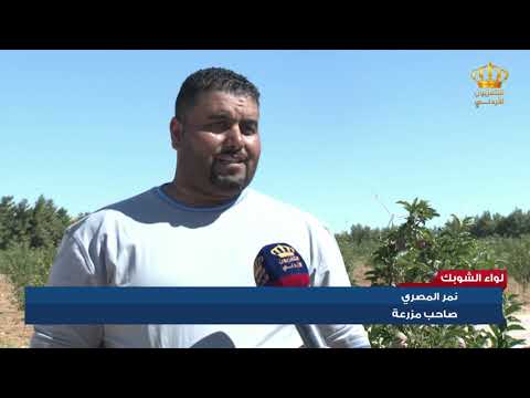 لواء الشوبك وسائل جديدة يتبعها المزارعون للحد من كلف الإنتاج