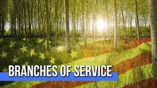 Branches of Service