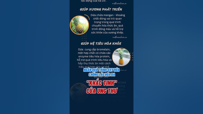 Chất Khoáng Có Trong Dứa