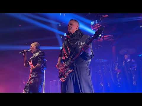 Skunk Anansie -
