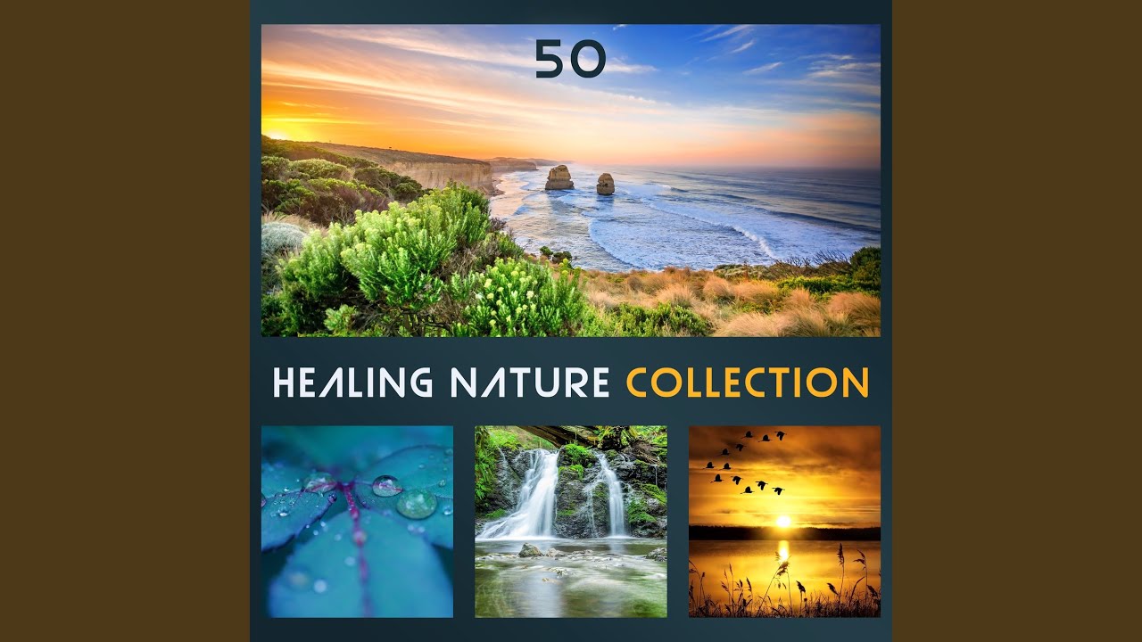 Guarda Stress Management (Soothing Sound of Waves & Wood) su YouTube Guarda Stress Management (Soothing Sound of Waves & Wood) su YouTube