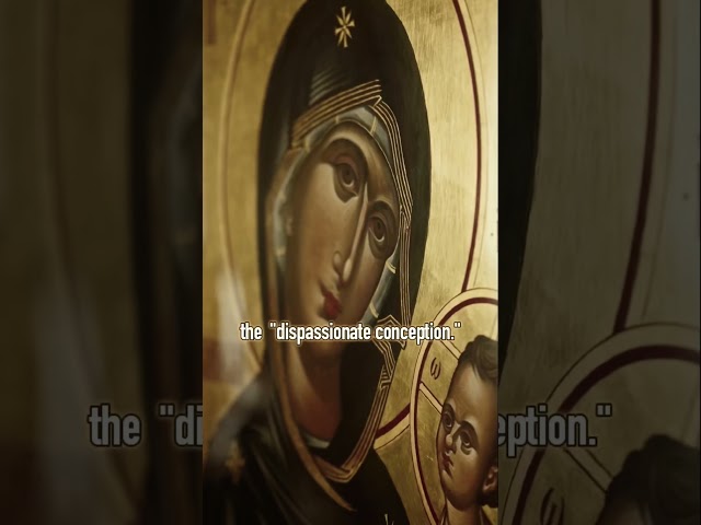 Why Orthodox Christians Reject the Immaculate Conception class=