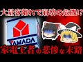 【ゆっくり解説】ヤマダ電機が悲惨すぎる⋯なぜ家電王者『ヤマダ電機』の大量客離れは深刻化したのか?【しくじり企業】