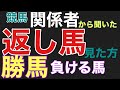 【返し馬の見方】馬券に繋がる企画！勝馬が簡単に分かる返し馬の見方 #競馬 #関係者 #情報 #返し馬