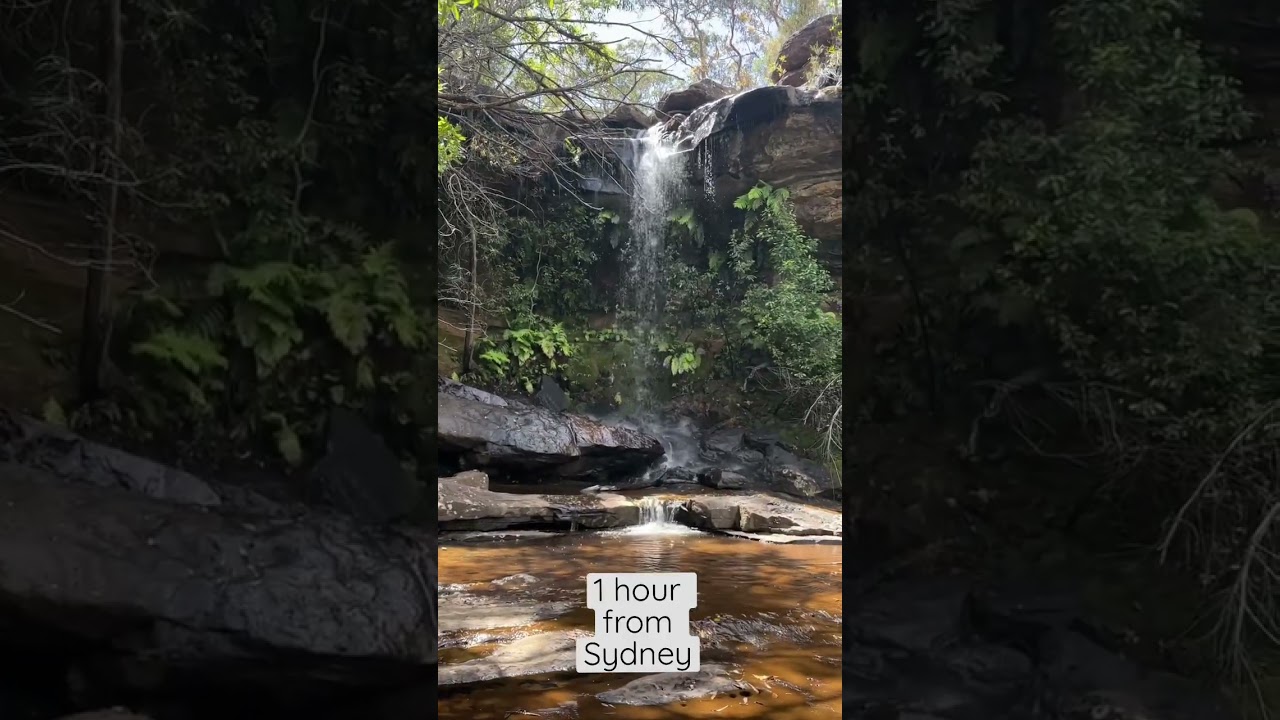 Only 1 hour from Sydney 💚 Have you been there before? 📍Royal NP