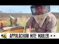 Appalachian mite mauler  first look