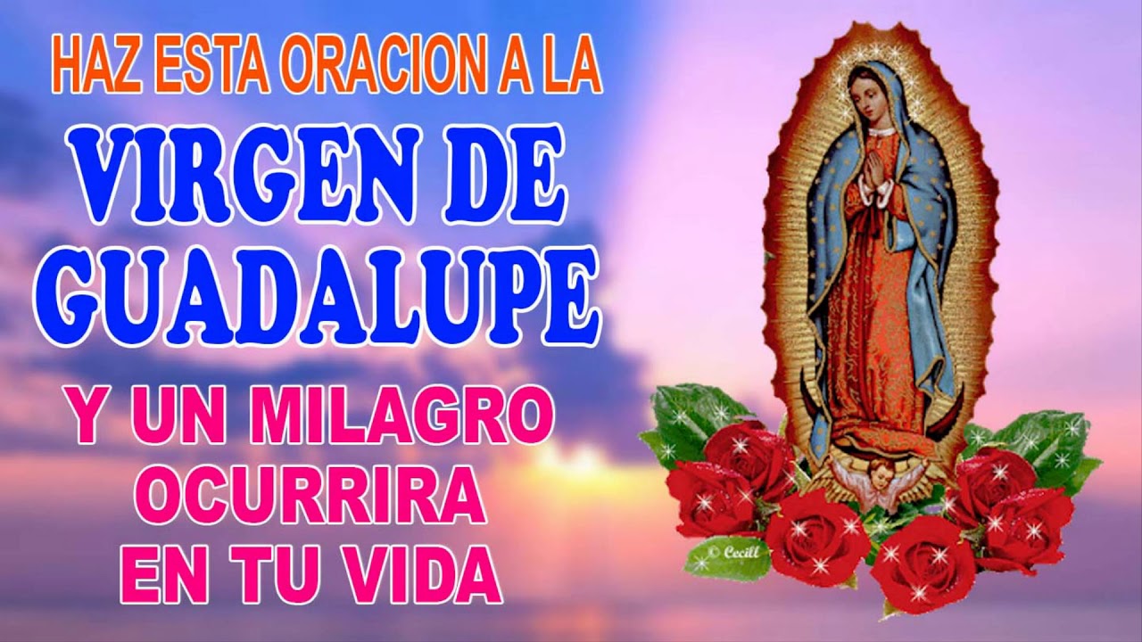Haz esta oración a la Virgen de Guadalupe y un milagro ocurrirá en tu ...