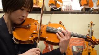 新作イタリアンバイオリン オススメ特集！〜ワンピースバック編