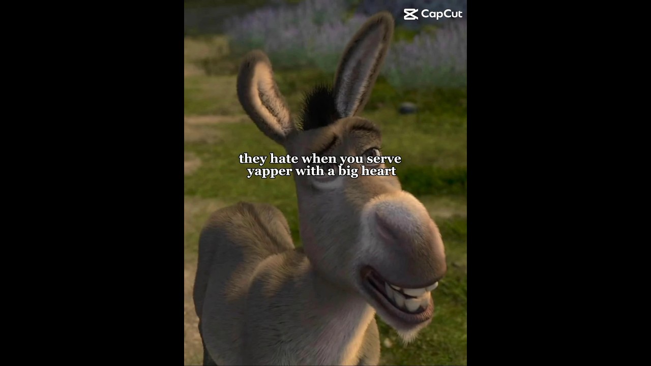 A yapper with a big ❤️!!! 