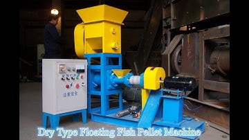 Dry Type Floating Fish Pellet Machine for sale #fishfeedmachine #fishfeedmakingmachine #feedmill