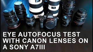 Sony A7III Focus Test with Canon Lenses and Metabones Adapter