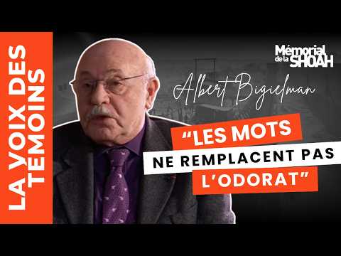 Testimony of Albert Bigielman, deported from France to the Bergen-Belsen camp