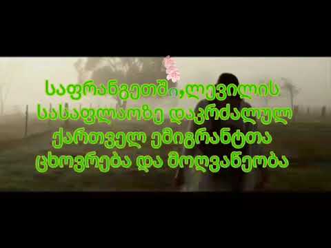 nugzar merkuladze emigrantebis TV. Ლაივ შოუ ემიგრანტების სარკე