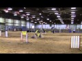 AKC 11/3/2012 Belton Novice FAST