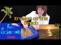 Beach Science: Understanding Sand, Waves, and Shoreline Changes