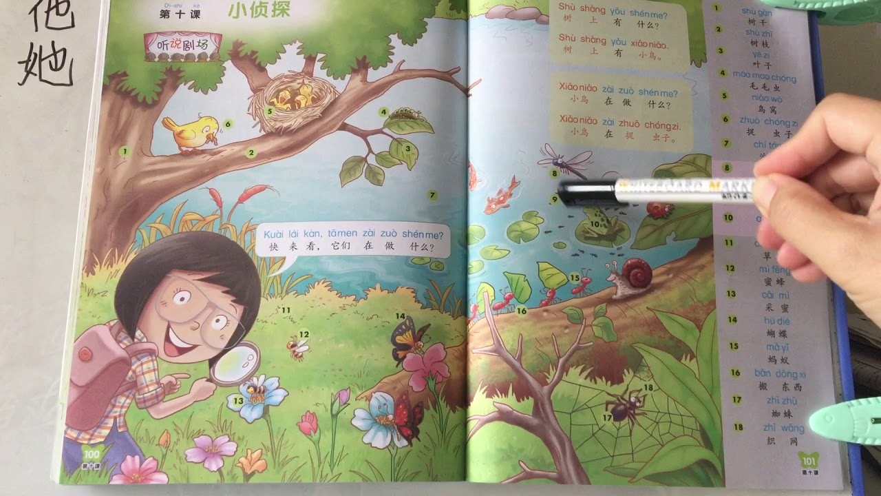 Chinese Textbook 2A Chapter 10 P100-101 