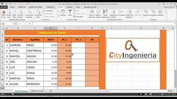 Excel Avanzado 2013: Base de Datos - Validacion de Datos