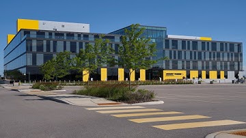 Life in Technicolour