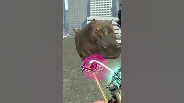 Size Comparison All New zoochosis Monster Animal in Garry