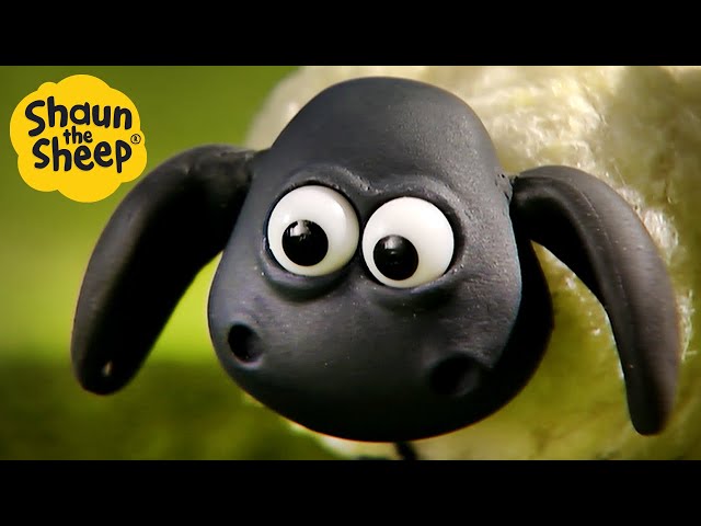 Shaun the Sheep 🐑 Operation: Save Timmy's Teddy 🦸‍♂️🧸 Full Episodes Compilation [1 hour] class=