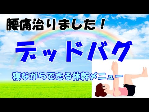 腰痛改善に。寝ながらつづけやすい体幹メニュー「デッドバグ」