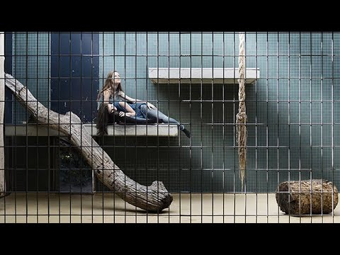 В будущем люди