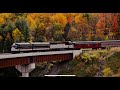 Autumn Train 🚞 Autumn Ambience & Fall Foliage 🍁🍂 Relaxing Music