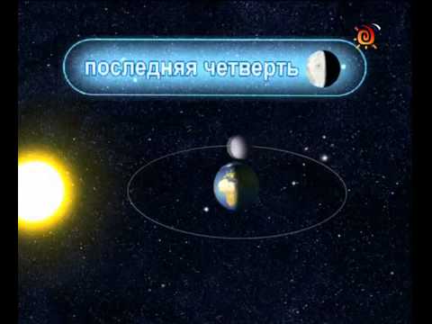 Луна. Лунное и солнечное затмение. Почемучка.