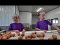 Iowa’s Specialty Egg Producers | Iowa Life