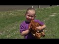 Iowa’s Specialty Egg Producers | Iowa Life