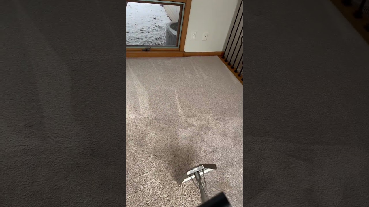 Nasty Dirty Carpet Carpet Cleaning Dirt Removal 😀 